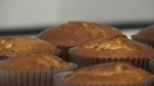 Permalink to: Les Muffins aux pépites de chocolat de Samia