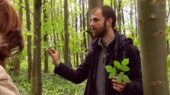 Permalink to: Cueillette de plantes sauvages comestibles et médicinales