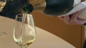 Permalink to: Maison de Champagne Salon & Delamotte